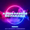Blitz, Guz Zanotto & Overdriver Duo - A Dois Passos do Paraíso (Remix) - Single